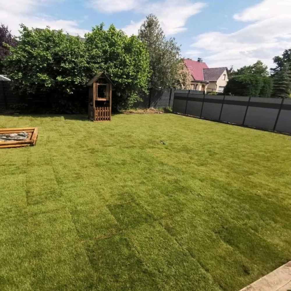 Neu gestalteter Garten mit Rasenfläche und Beeten