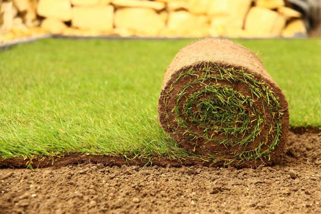 Frisch angelegter Rasen von Bazid Daoud Gartenbau in Sehnde